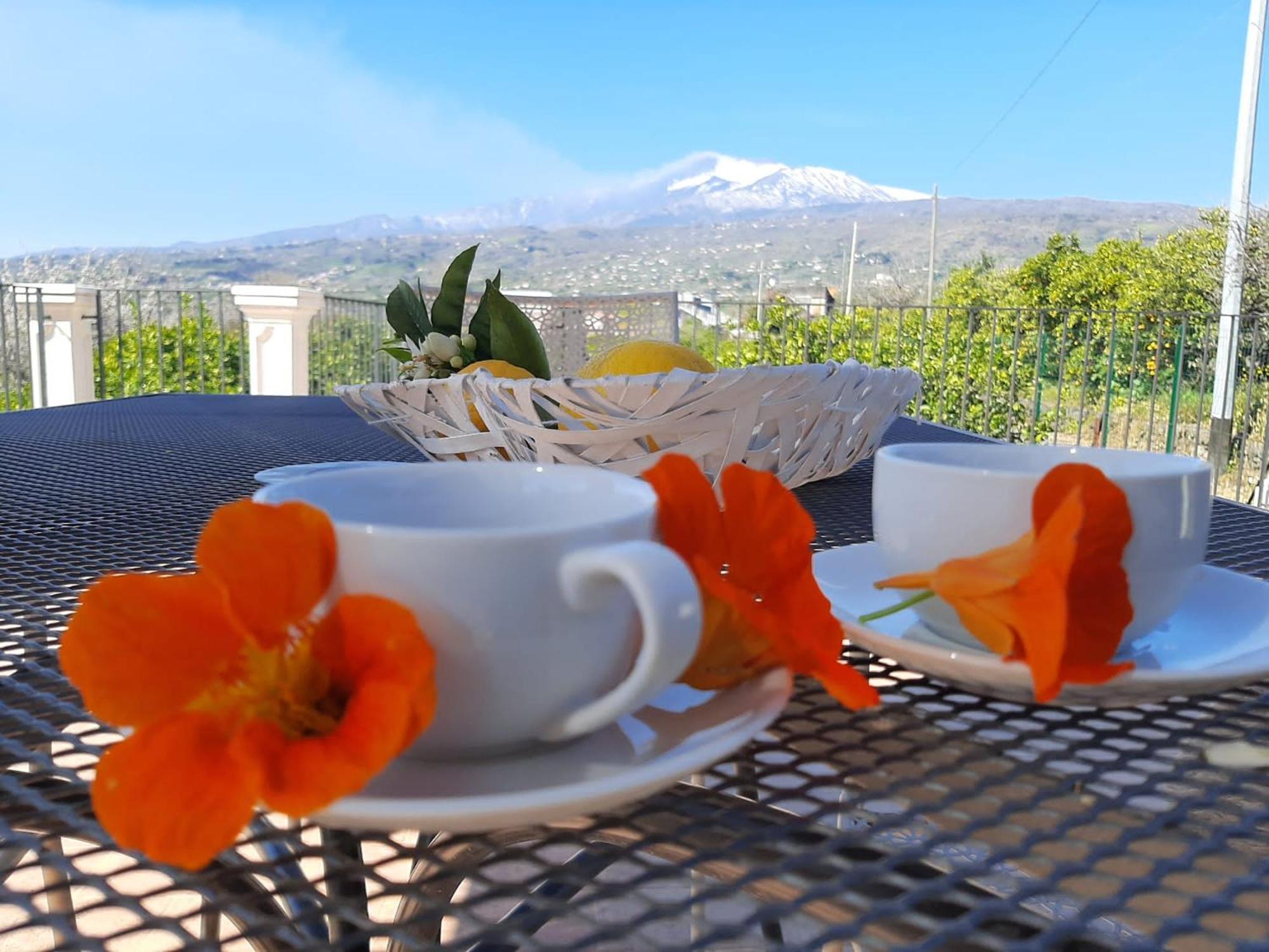 Вілла Zagara Маскалі Номер фото